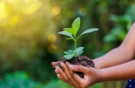 Dia do Meio Ambiente: Vamos repensar a nossa relação com o planeta?