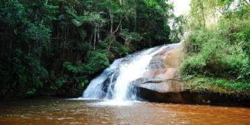 Água: preservar para não faltar