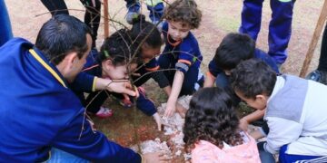 Árvores nativas e frutíferas foram plantadas nas creches municipais