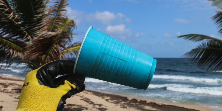 As sacolas plásticas e o início de um novo tempo