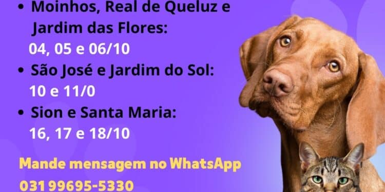 Programa de castração animal itinerante em Lafaiete