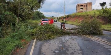 Temporal provoca inundação e queda de árvores em Lafaiete
