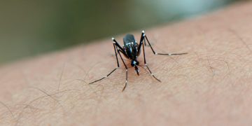 Vacinação contra dengue em Lafaiete continua nas unidades de saúde