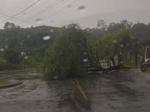 Temporal provoca alagamentos e queda de árvores