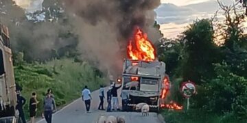 Fogo destrói caminhão e mata porcos na MGC-383
