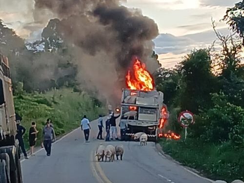 Fogo destrói caminhão e mata porcos na MGC-383