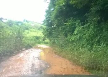 MG-833 em abandono isola moradores e põe vidas em risco