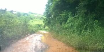 MG-833 em abandono isola moradores e põe vidas em risco