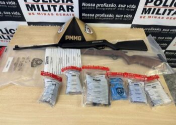 Armas e munições são apreendidas em casa em Congonhas