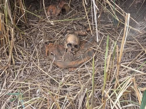 Ossada é encontrada às margens da BR-040 em Lafaiete