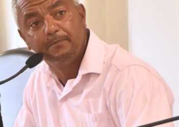Robertinho assume como líder do governo na Câmara