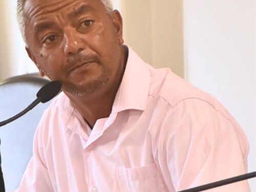 Robertinho assume como líder do governo na Câmara